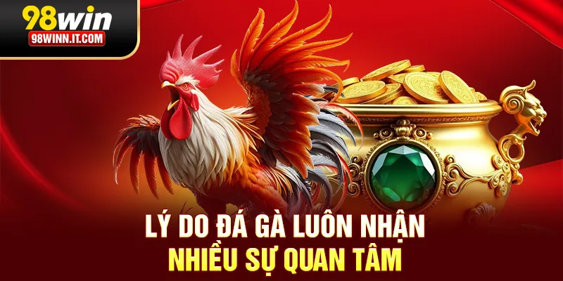 Lý do đá gà luôn nhận nhiều sự quan tâm